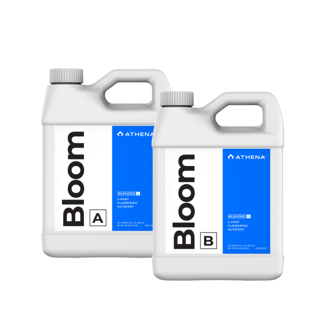 Athena Blended BLOOM A + B