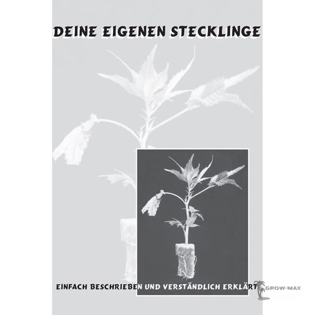 Deine eigenen Stecklinge – Praxisbuch zur Pflanzenvermehrung