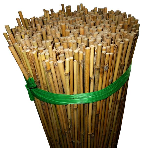 Bambusstock 120 cm – Natur-Bambusstange Ø 10–12 mm