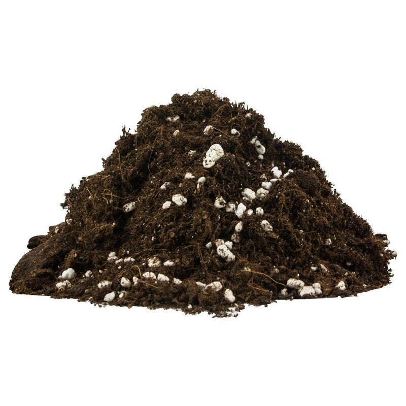 Plagron Light Mix mit Perlite 50 L – leicht vorgedüngtes Pflanzsubstrat für Jungpflanzen