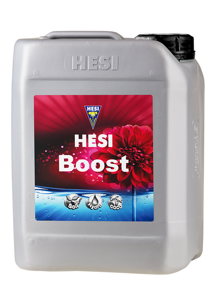 Hesi Boost