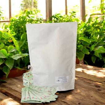 Florfliegenlarven – 1.000 Stück auf Buchweizenspelzen (inkl. BioBoxen)