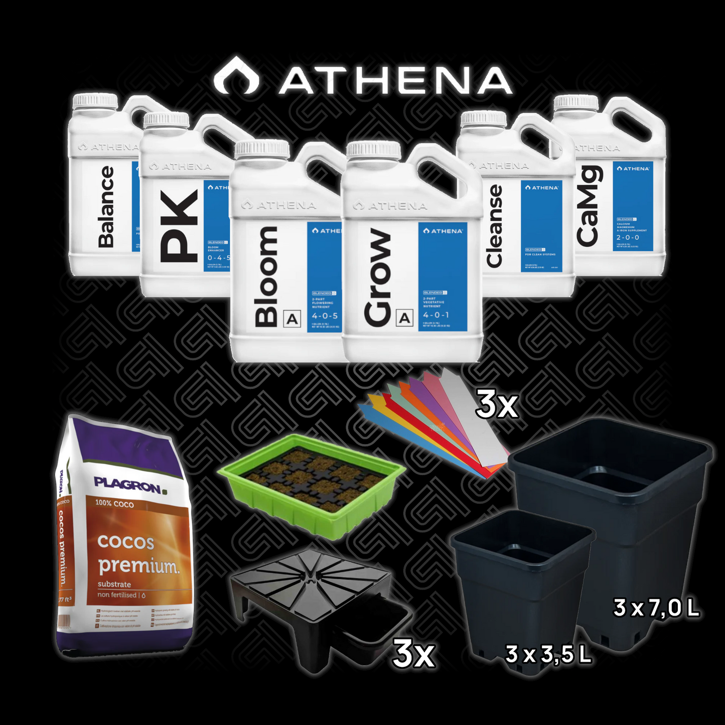 3-Pflanzen Set - Athena BLENDED Starter Kit - Urban Flower Grow