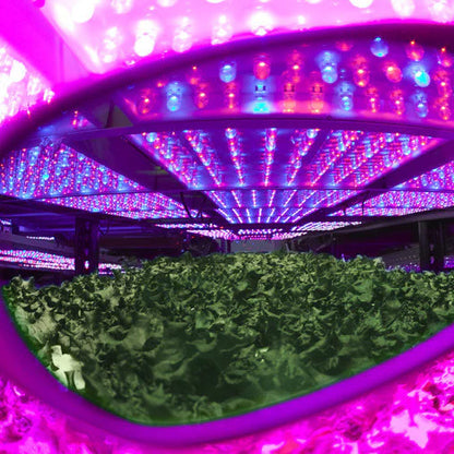 METHOD SEVEN Cultivator Blurple LED Classic – Grow Room Schutzbrille